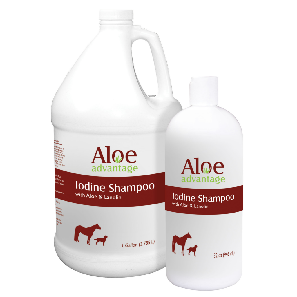 iodine aloe and lanolin shampoo
