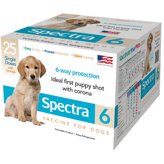canine spectra 6 puppy shot corona