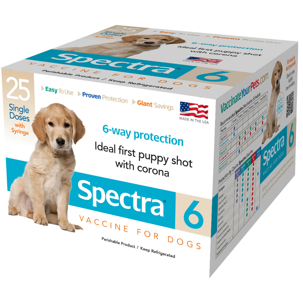 canine spectra 6 puppy shot corona